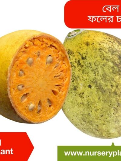 Bel fruit