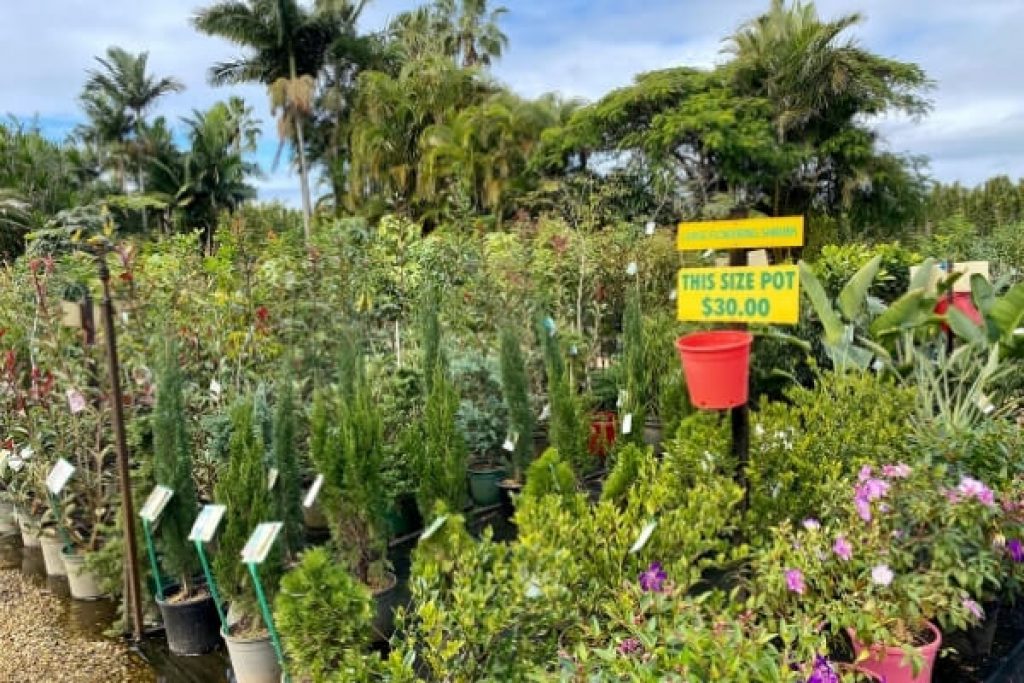 Nearest Garden Nursery / Home Meadow Acres Garden Centre : 1700 nw