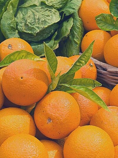 Variegated-Malta-4