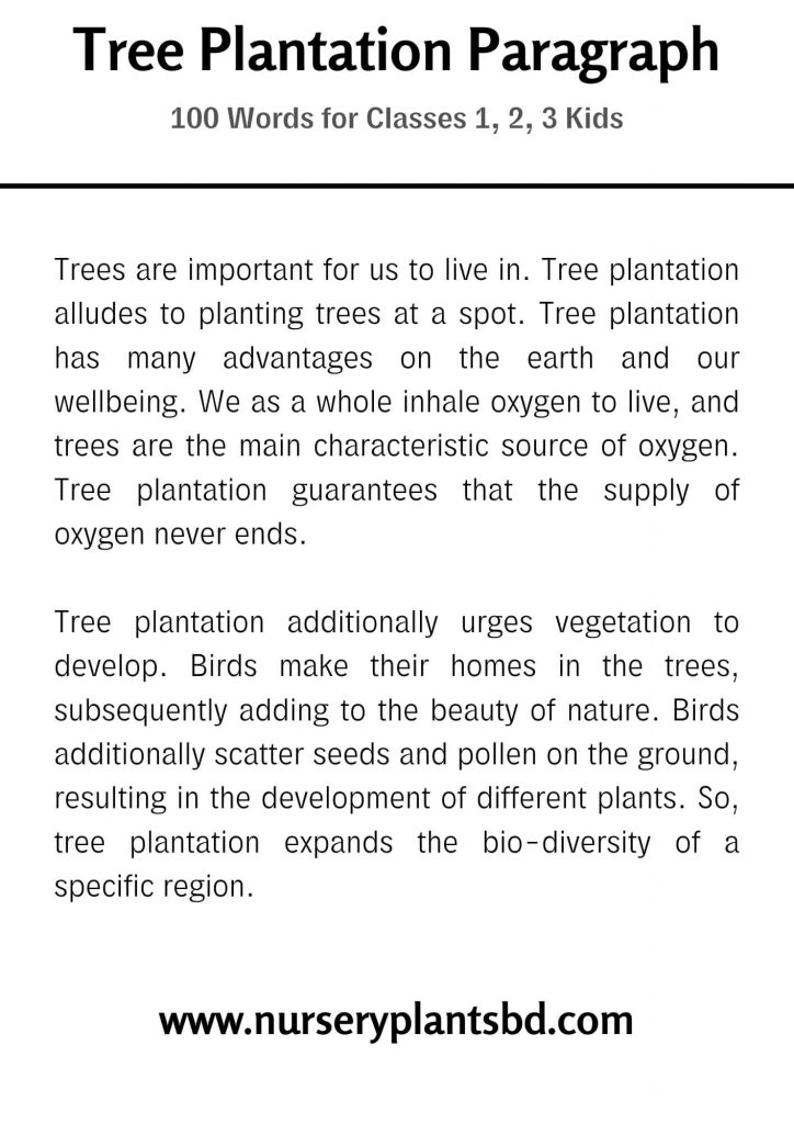 the-best-tree-plantation-paragraph-november-2023