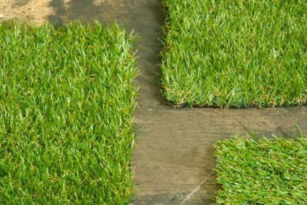Install Artificial Grass