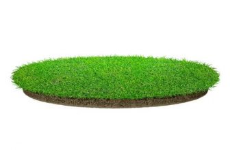 Pet Turf