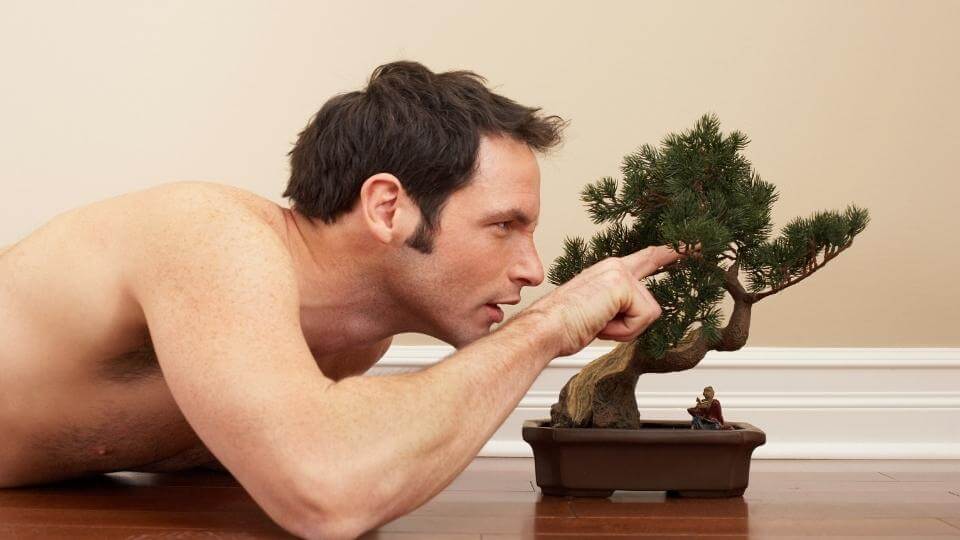 how to design bonsai