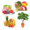 Mulberry Fruit Tree Plants