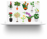 Coupon for  1st Purchase give 10%