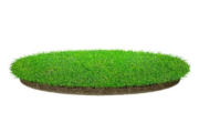 The Best Artificial Grass For Dogs
