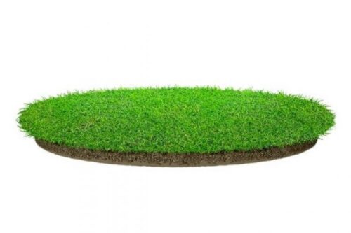 The Best Artificial Grass For Dogs