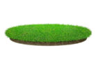 The Best Artificial Grass For Dogs