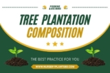 The Best Tree Plantation Composition
