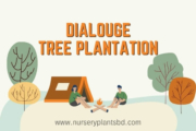 The Best Tree Plantation Dialogue