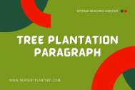 The Best Tree Plantation Paragraph