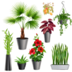 Foreign Plants